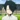 Ray_YNN's avatar