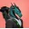 ronaldhernandez's avatar