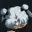 ombraa's avatar