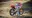 CRF250CC's avatar