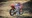 CRF250CC's avatar