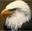 ShieldSeeker6695's avatar