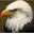 ShieldSeeker6695's avatar