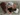 Fish3r's avatar