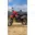 LuckyHero4650's avatar