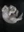 Yoseff2's avatar