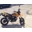 User's avatar