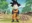 PromoSpotter9993's avatar