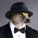 koronaonao