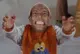 pequenokalvin5