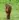 youngchecker's avatar