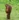 youngchecker's avatar