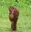youngchecker's avatar