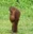 youngchecker's avatar