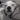 CleverAce2928's avatar