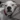 CleverAce2928's avatar