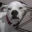 CleverAce2928's avatar