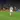 Samu10's avatar
