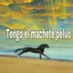 balance888