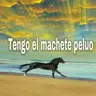 balance888