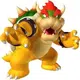 SuperBowser
