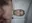 juliocoronel038ef0f's avatar