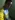 murraytopsom's avatar