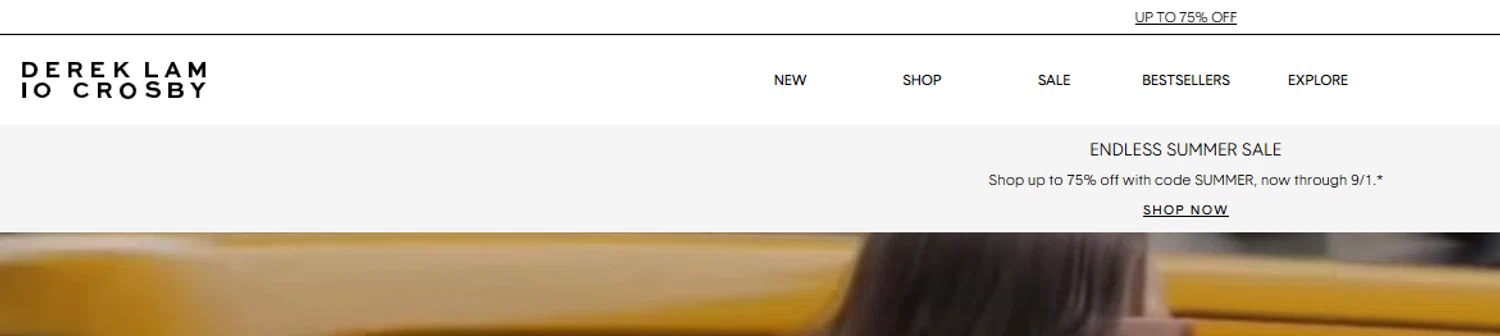 Derek Lam promo code screenshot showing code SUMMER applied at Derek Lam checkout page. Uploaded by SimplyCodes community member abundancia on Aug 22, 2025