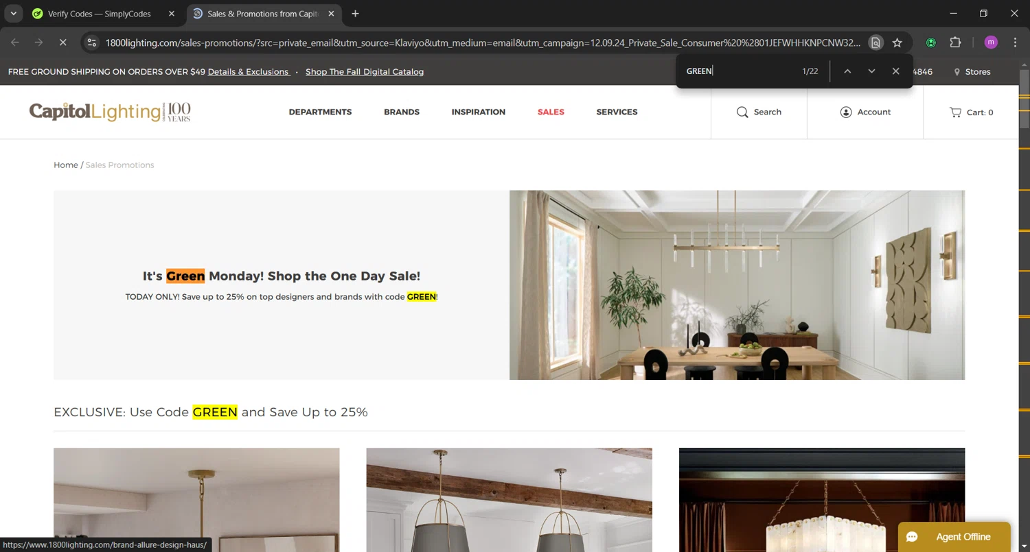 where to use 1800Lighting promo code box