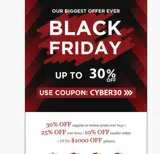 cyber30 coupon verification screenshot