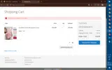 9FUDA-10 coupon verification screenshot