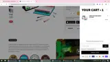 CHELSEAALANA coupon verification screenshot