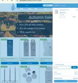 ROJU5 coupon verification screenshot