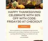 friday30 coupon verification screenshot