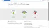 Geek coupon verification screenshot