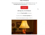 ThankYou2025 coupon verification screenshot
