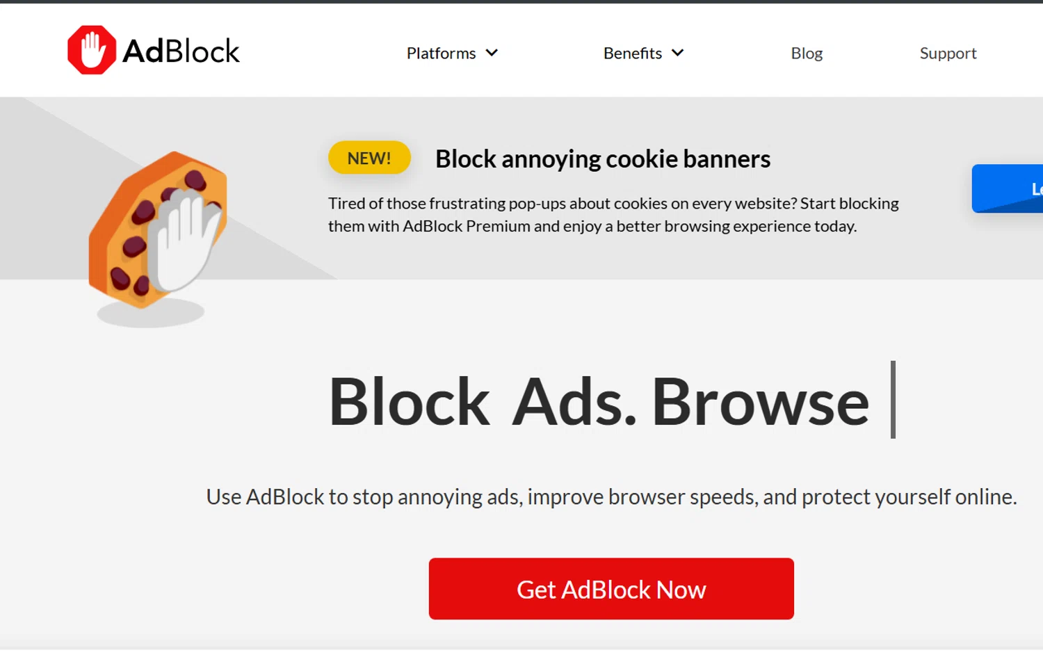 AdBlock discount code screenshot showing code EASTER applied at AdBlock checkout page. Uploaded by SimplyCodes community member Draken on Mar 13, 2025
