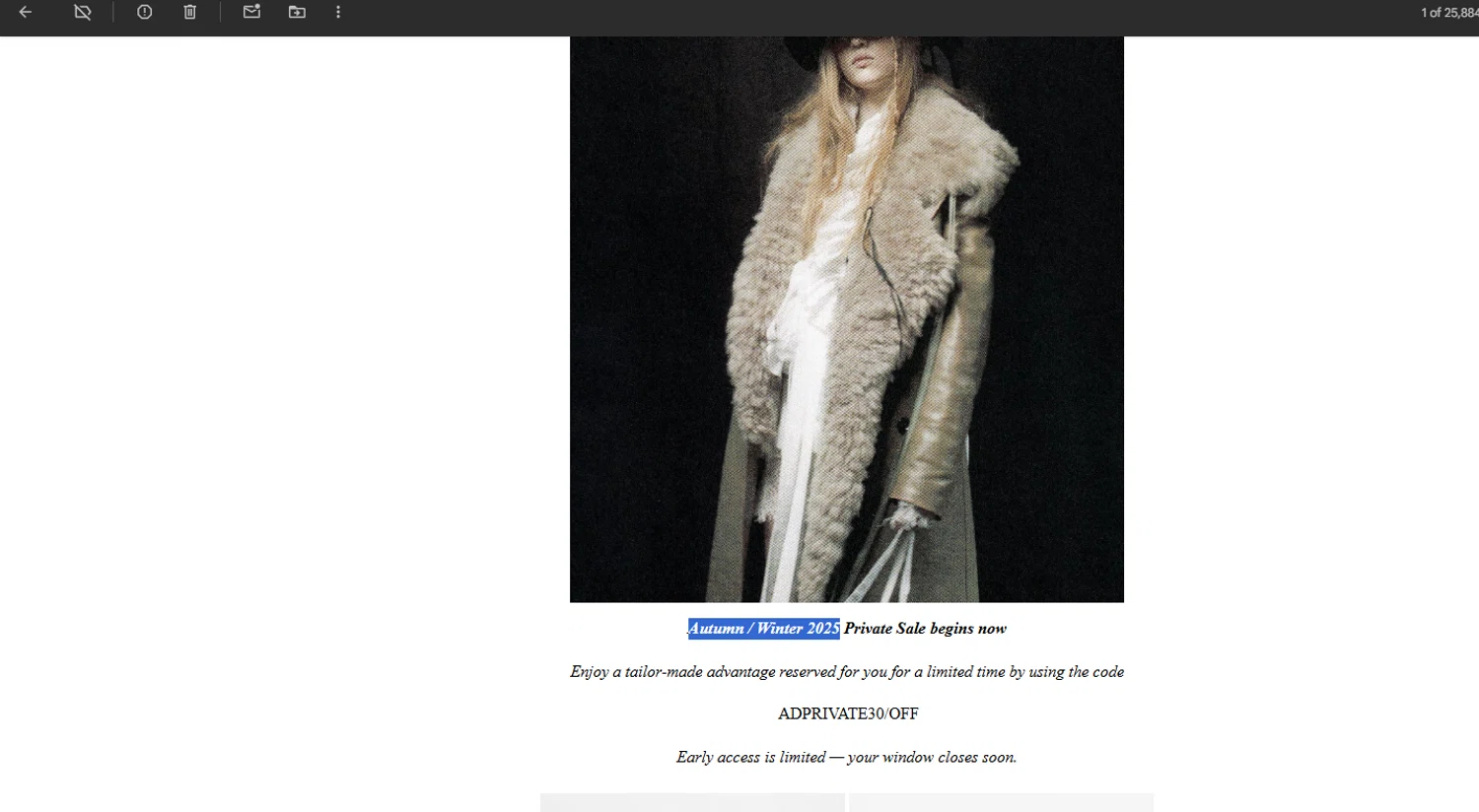 Ann Demeulemeester promo code screenshot showing code ADPRIVATE30/OFF applied at Ann Demeulemeester checkout page. Uploaded by SimplyCodes community member juanvargas1 on Nov 21, 2025