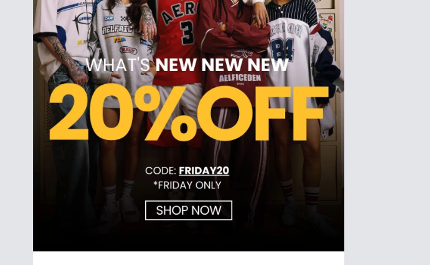 Aelfric Eden discount code screenshot showing code FRIDAY20 applied at Aelfric Eden checkout page. Uploaded by SimplyCodes community member tronsito66 on Aug 29, 2025