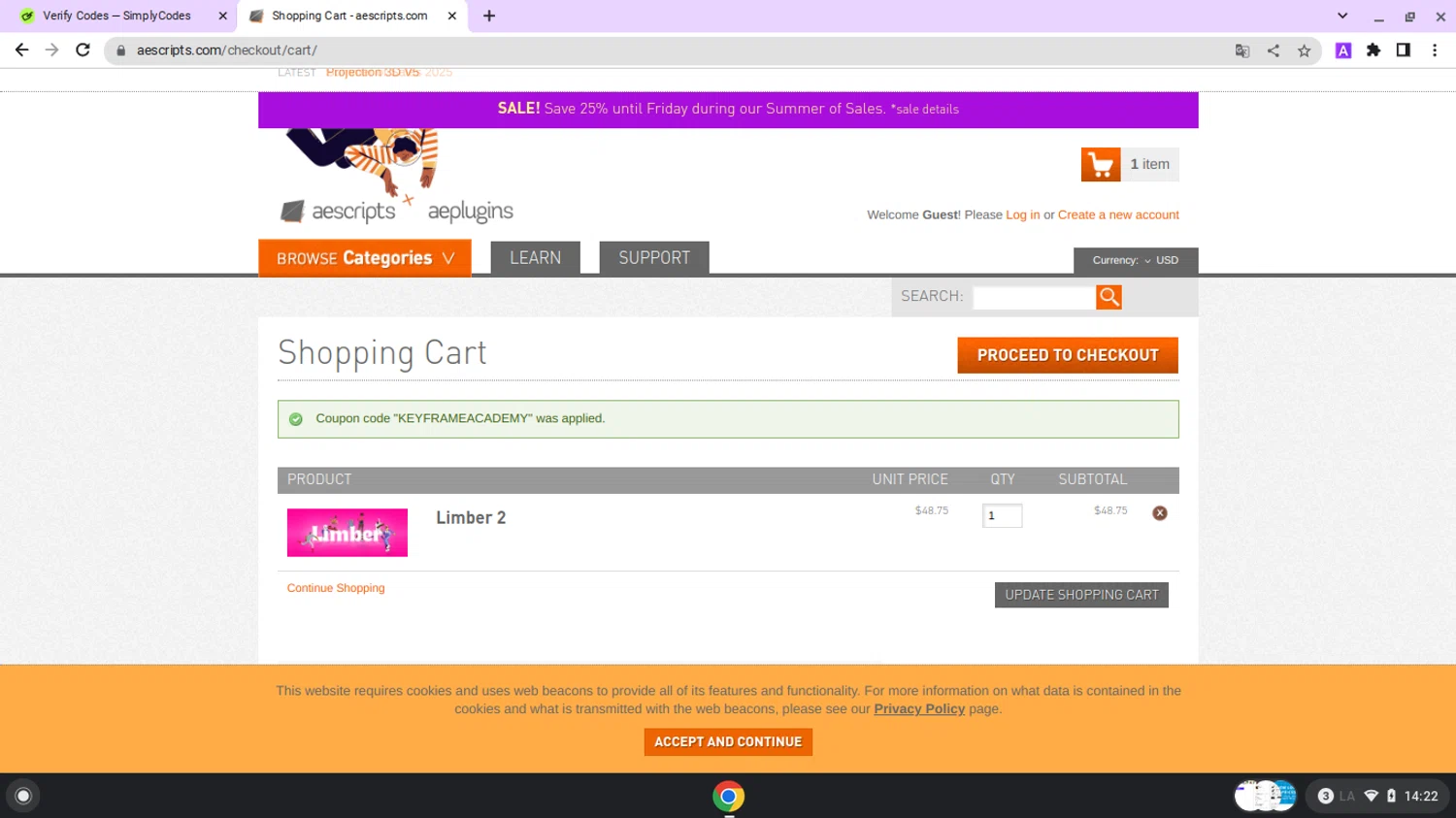 Aescripts checkout page showing Aescripts discount code box | Screenshot taken by SimplyCodes community member on Jun 16, 2025