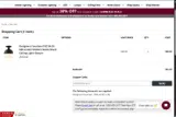 FOUNTAIN-SALE coupon verification screenshot