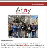 SPRING25 coupon verification screenshot