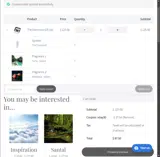Air Esscentials coupon verification screenshot
