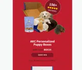 BOX20 coupon verification screenshot