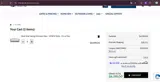 ALEKO Products coupon verification screenshot