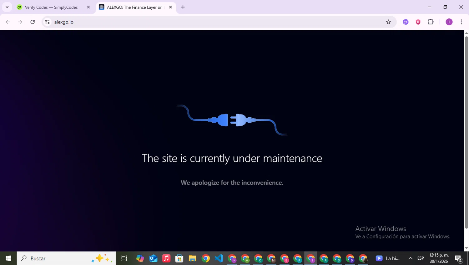 ALEX promo code screenshot showing code VDAYBAGS10 applied at ALEX checkout page. Uploaded by SimplyCodes community member RebateAce6764 on Jan 30, 2026