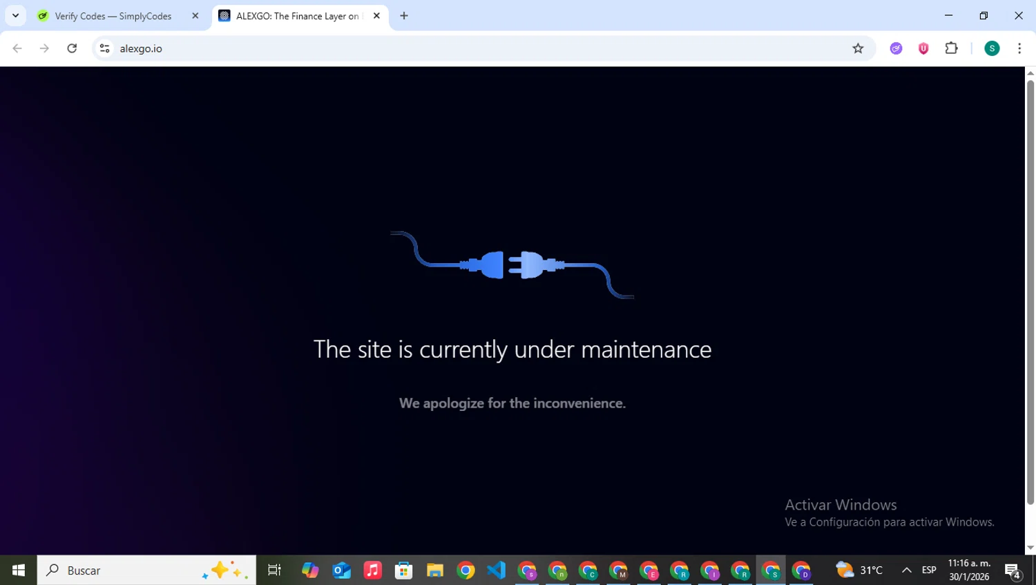 ALEX promo code screenshot showing code VDAYBAGS10 applied at ALEX checkout page. Uploaded by SimplyCodes community member VictoriousPilot5281 on Jan 30, 2026