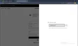 Alexander Wang coupon verification screenshot