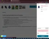 WINTER20 coupon verification screenshot
