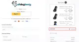 WINTER20 coupon verification screenshot